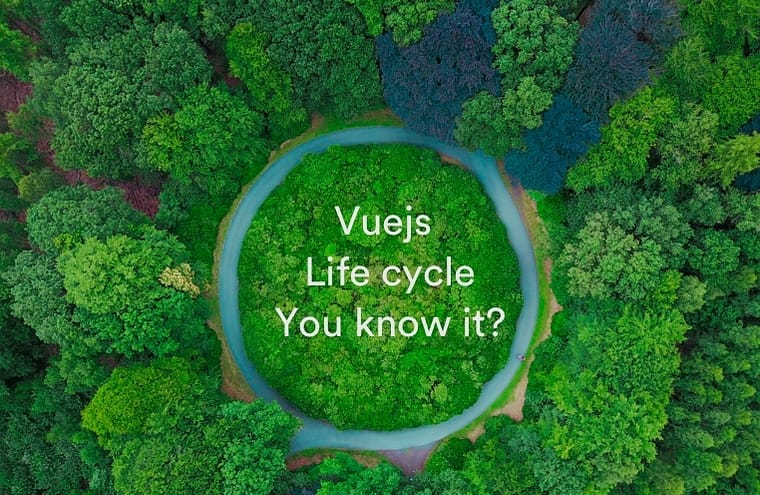 vuejs-life-cycle-you-know-it